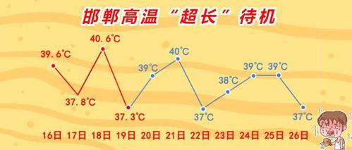 爆料邯郸教育局最新消息,重磅政策即将揭晓！